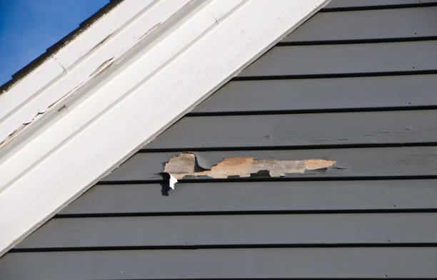 Best Siding for Multi-Family Homes  in Wisr, NE